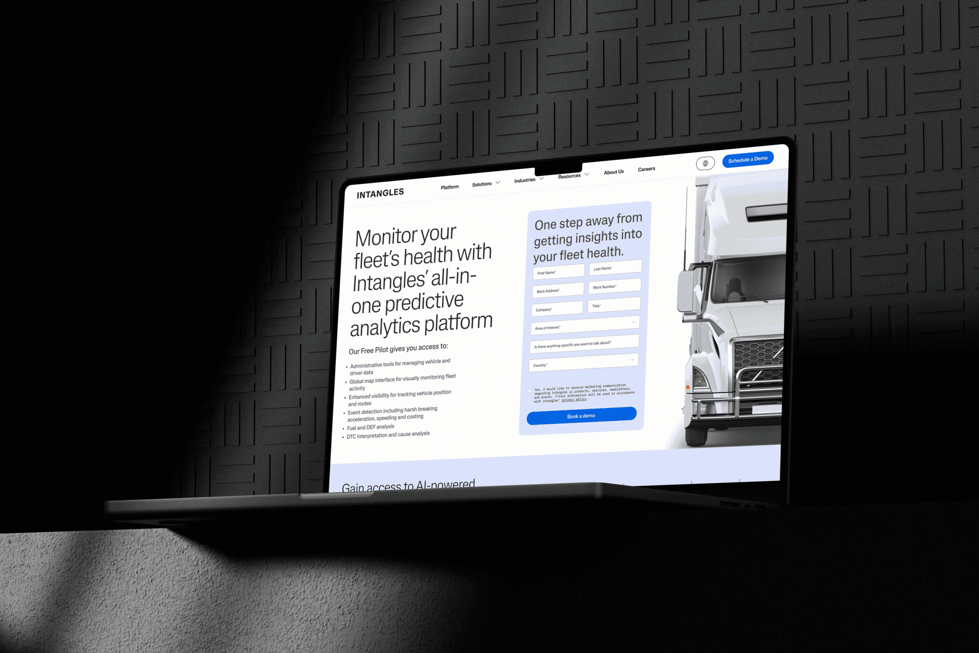 intangles saas website designer