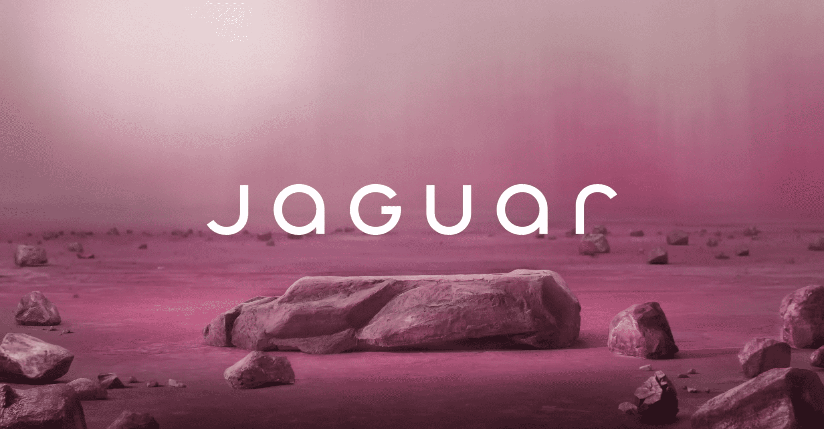 jaguar brand identity
